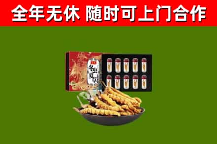 浮山回收冬虫夏草价格